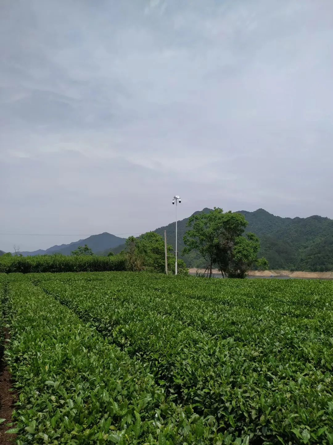 圖片關(guān)鍵詞
