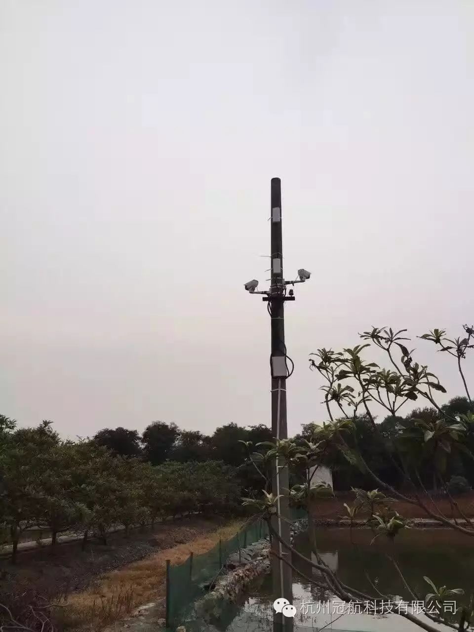 圖片關(guān)鍵詞