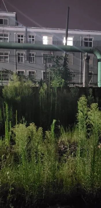 圖片關(guān)鍵詞